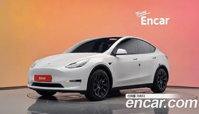 Tesla Model Y Long Range AWD