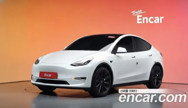 Tesla Model Y Long Range AWD