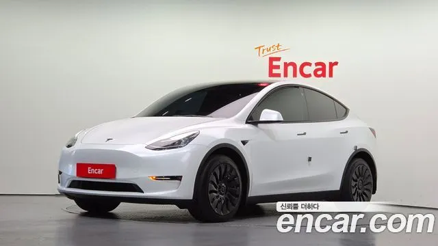 Tesla Model Y Long Range AWD