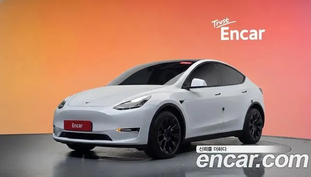 Tesla Model Y Long Range AWD