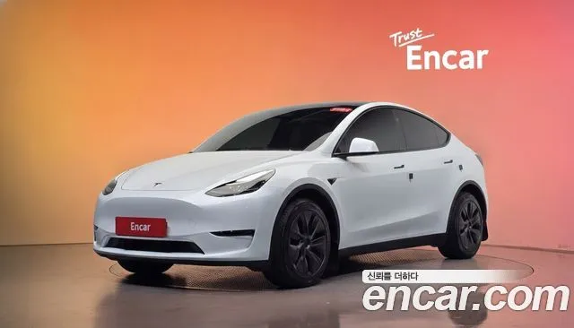 Tesla Model Y Long Range AWD