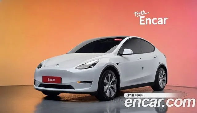 Tesla Model Y Long Range AWD