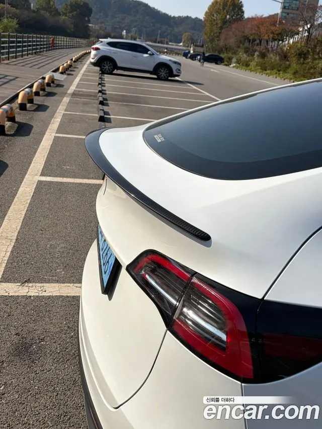 Tesla Model Y RWD