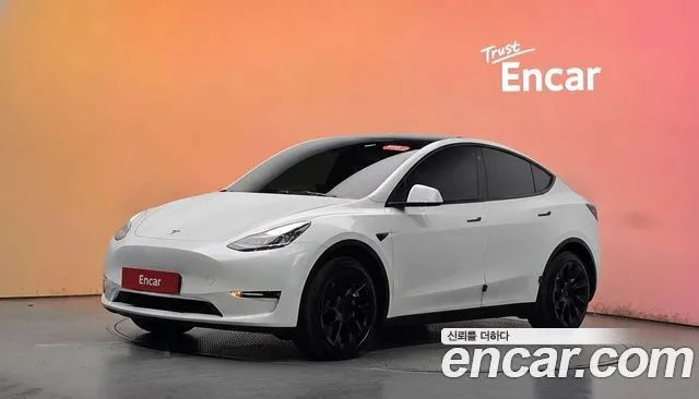 Tesla Model Y Long Range AWD