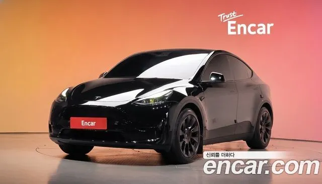 Tesla Model Y RWD