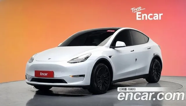 Tesla Model Y Long Range AWD