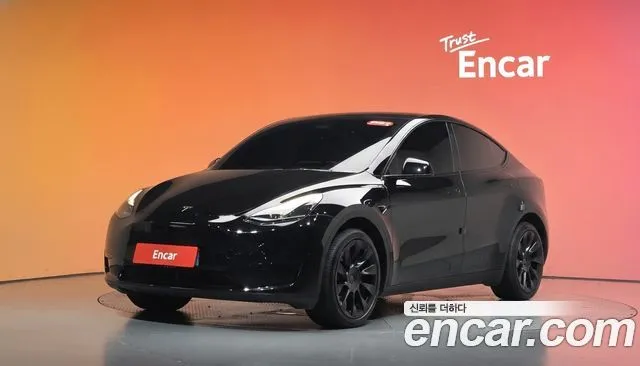 Tesla Model Y RWD