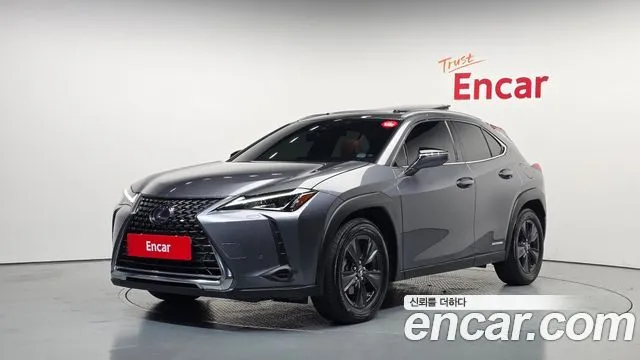 Lexus UX 2.0 2WD