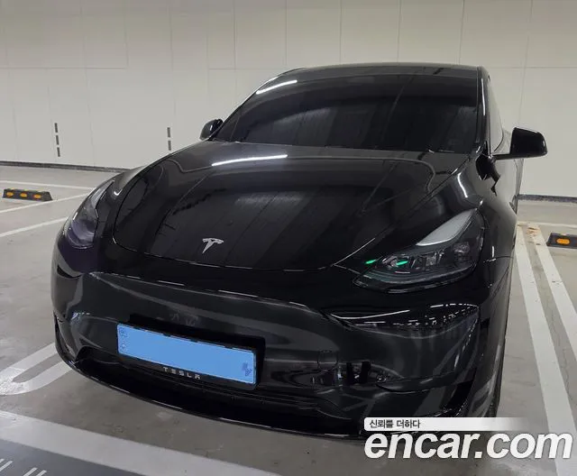 Tesla Model Y RWD