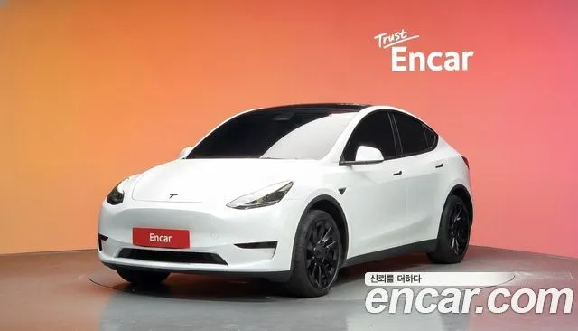 Tesla Model Y RWD