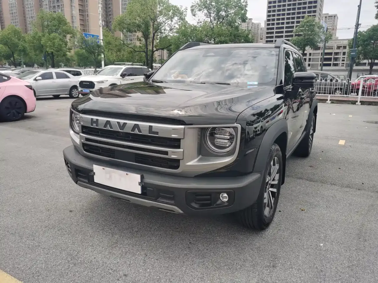 Haval Big Dog 1.5T DCT Border Collie Edition