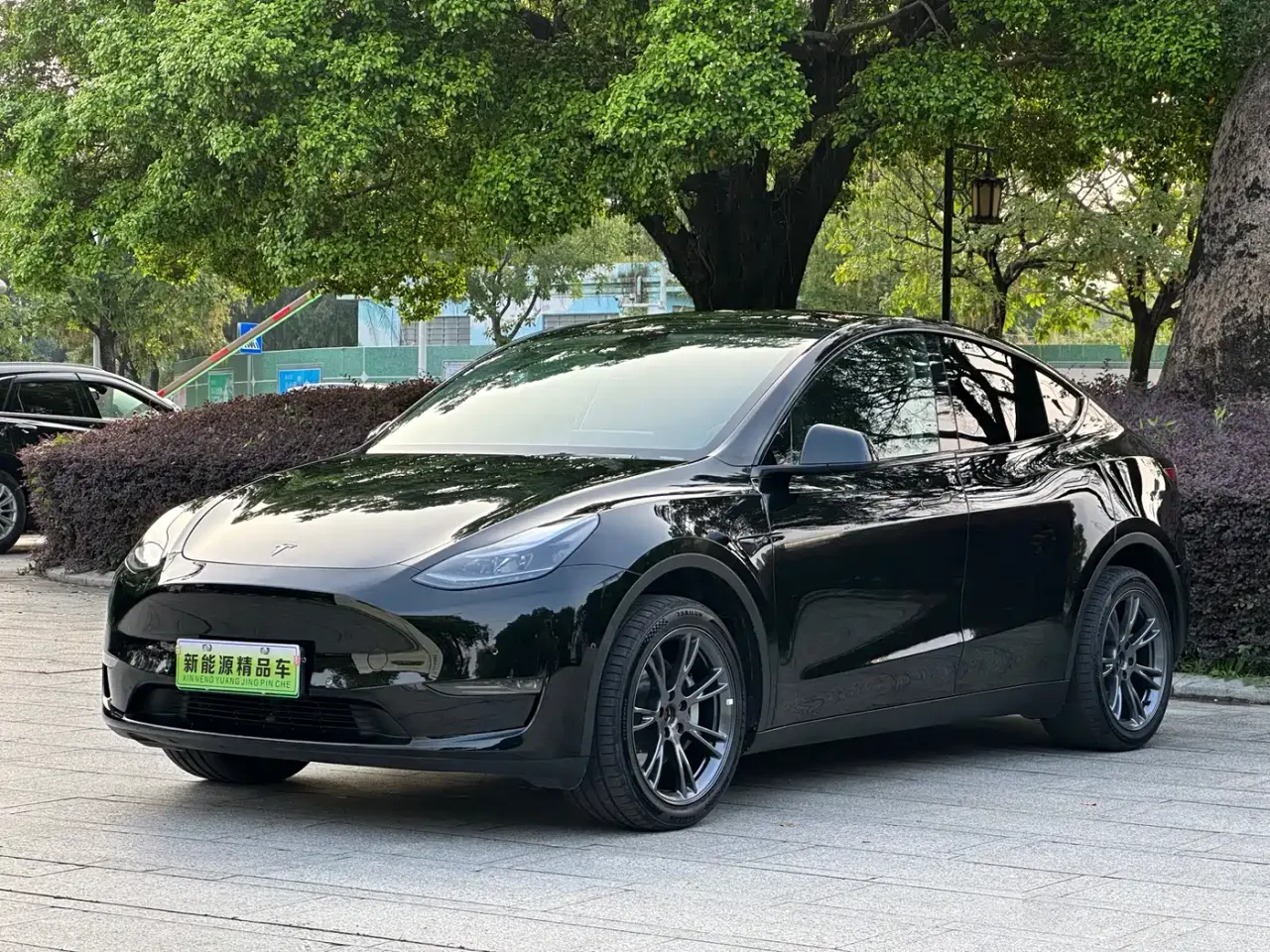 Tesla Model Y Long Range All-Wheel Drive Edition