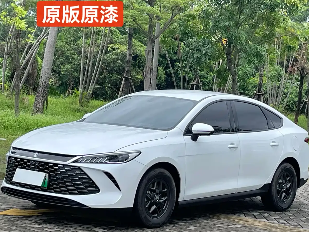 BYD Qin PLUS DM-i Smart Drive 55KM Leader