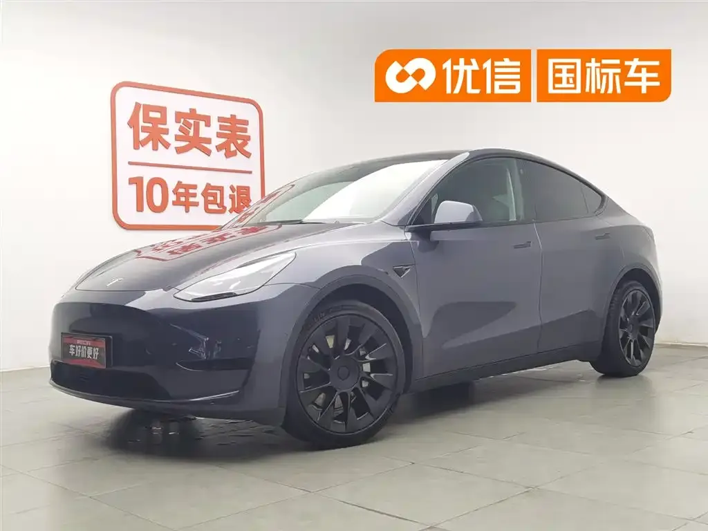 Tesla Model Y Rear-Wheel Drive Version