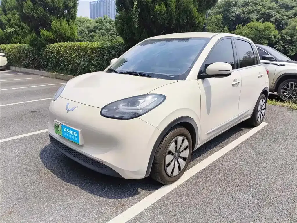 Wuling Motors Wuling Bingo 203km Comfort Version