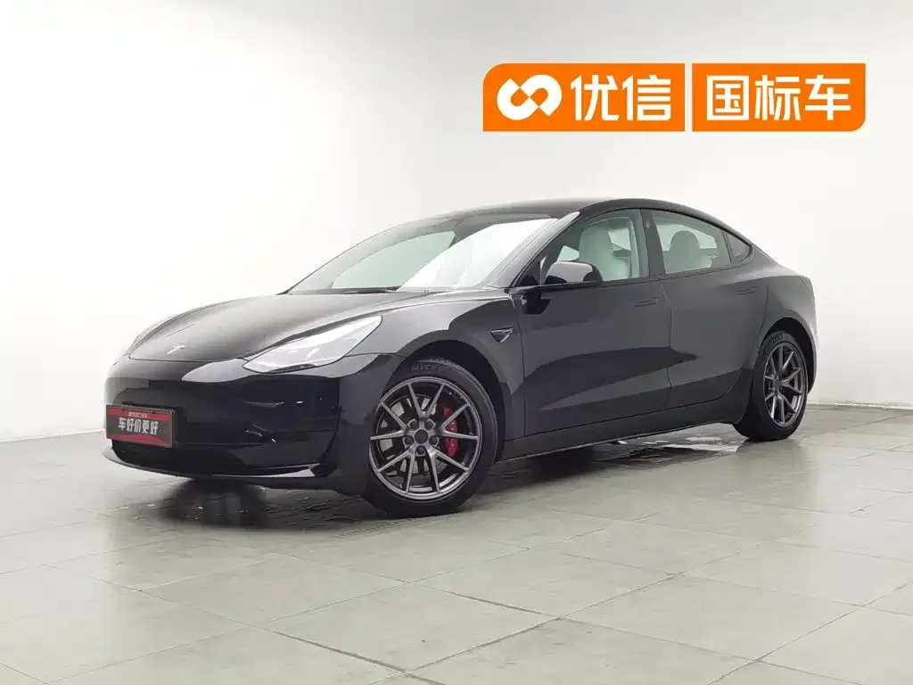 Tesla Model 3 Model Rear-Wheel Drive Version