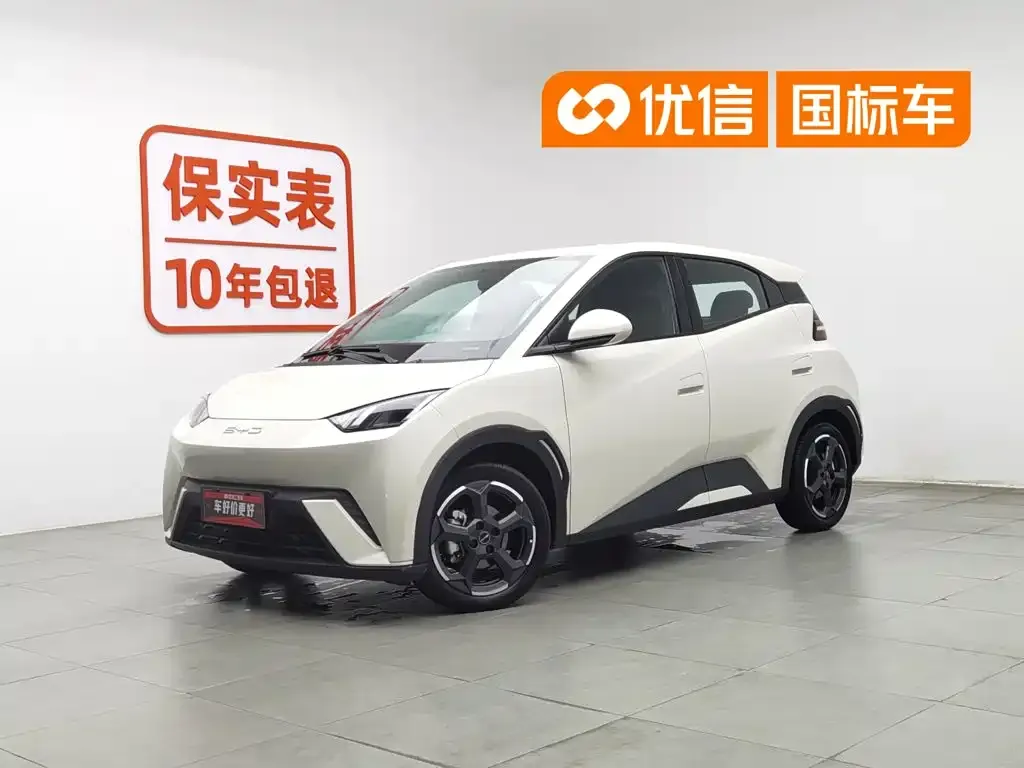 BYD Seagull Freedom Edition