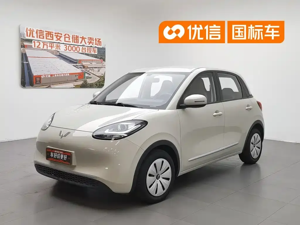 Wuling Motors Wuling Bingo Model 203km Lite Enjoyment Edition