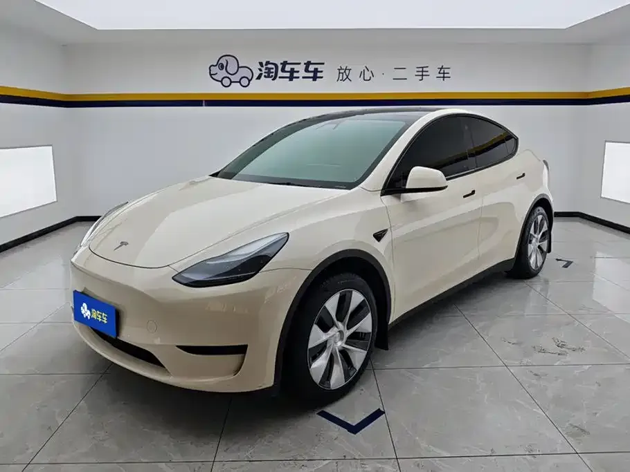 Tesla Model Y Rear-Wheel Drive Version