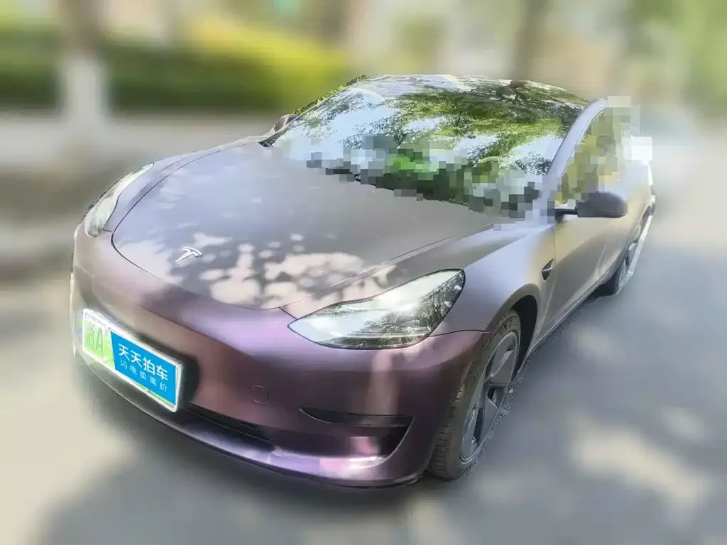 Tesla Model 3 Model Rear-Wheel Drive Version