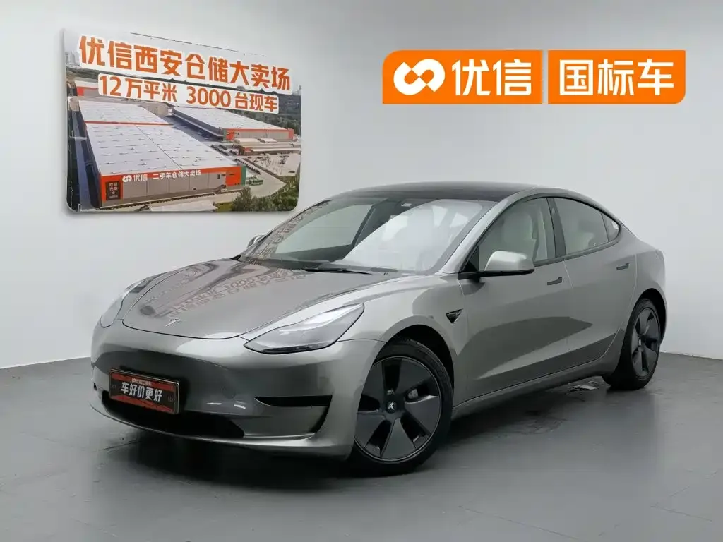 Tesla Model 3 Standard Range Rear-Wheel Drive Upgrade 3D6
