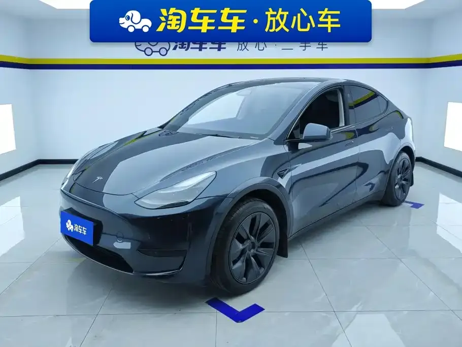 Tesla Model Y Rear-Wheel Drive Version