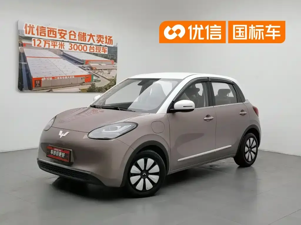 Wuling Motors Wuling Bingo Model 333km Joy+ Version