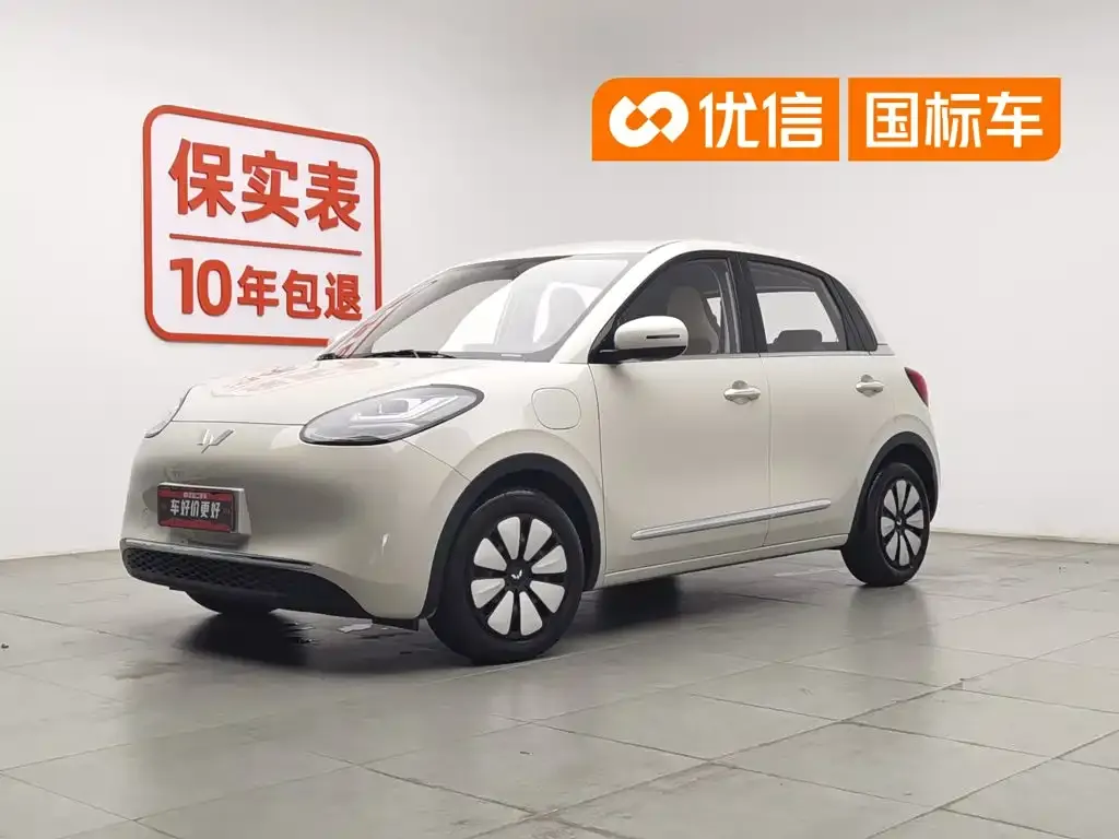 Wuling Motors Wuling Bingo 333km Comfort Edition
