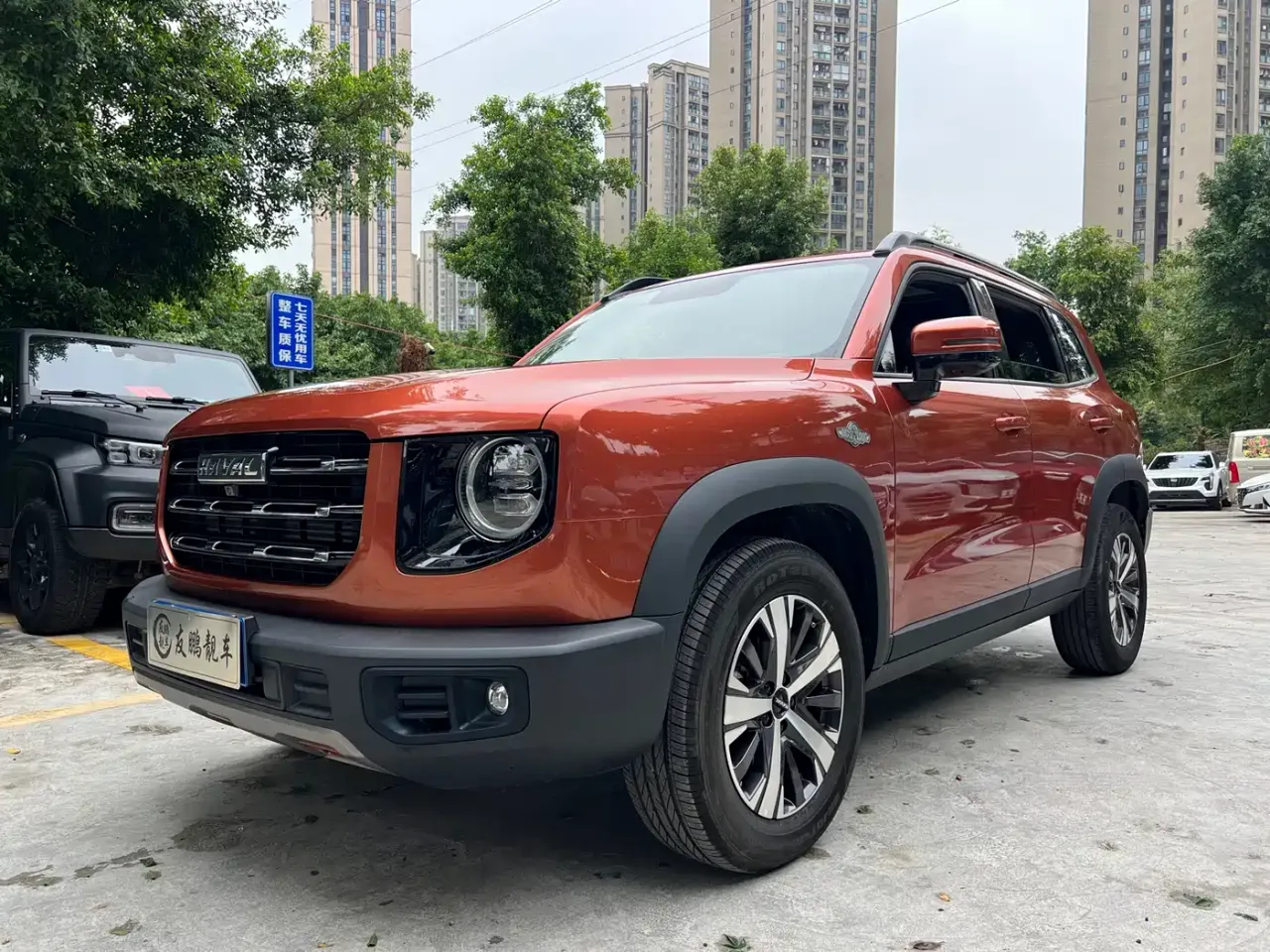 Haval Big Dog 1.5T DCT 2WD Labrador Edition