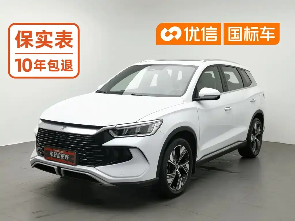 BYD Song Pro New Energy Champion Edition DM-i 110KM Excellence