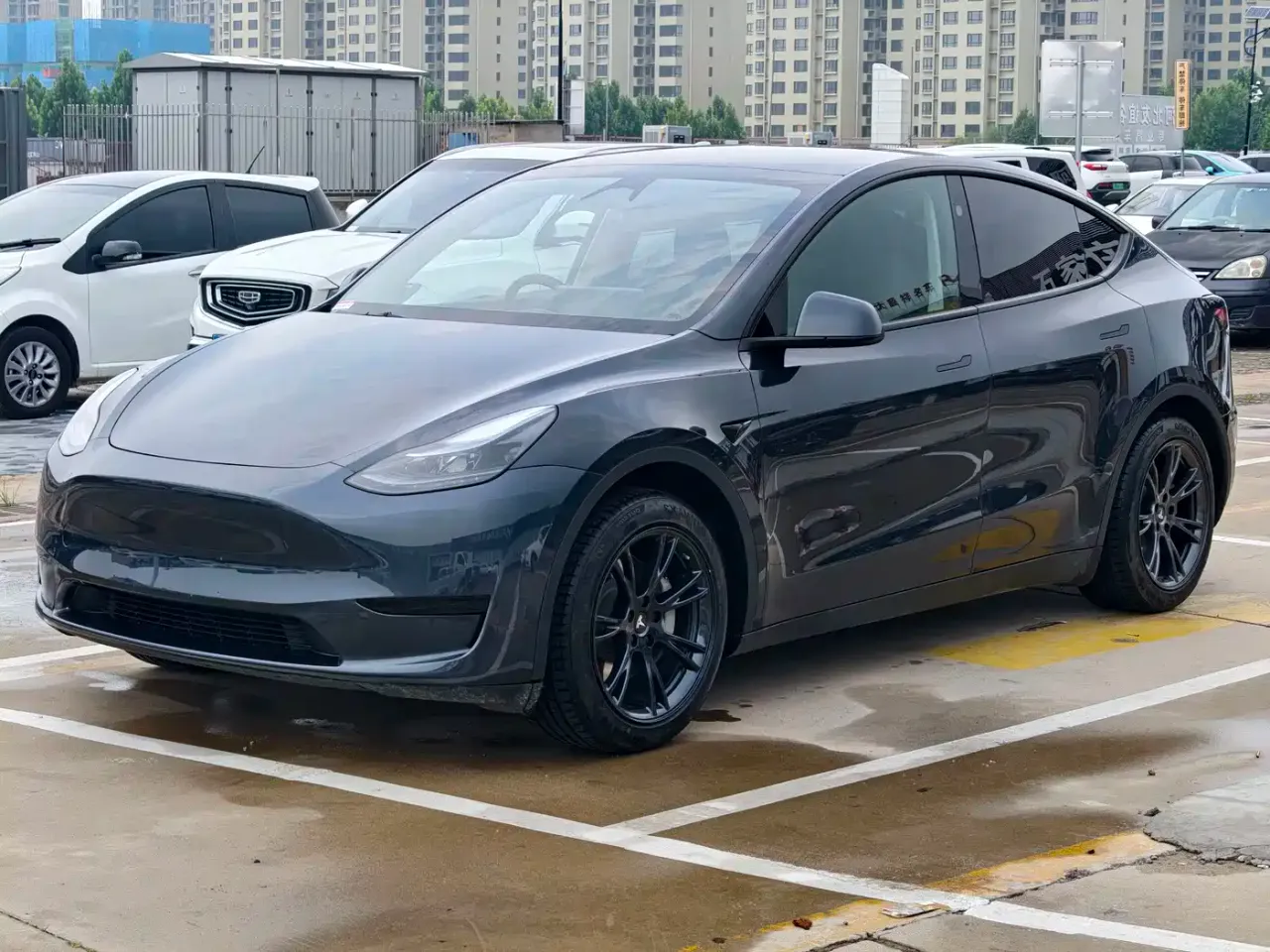 Tesla Model Y Rear-Wheel Drive Version
