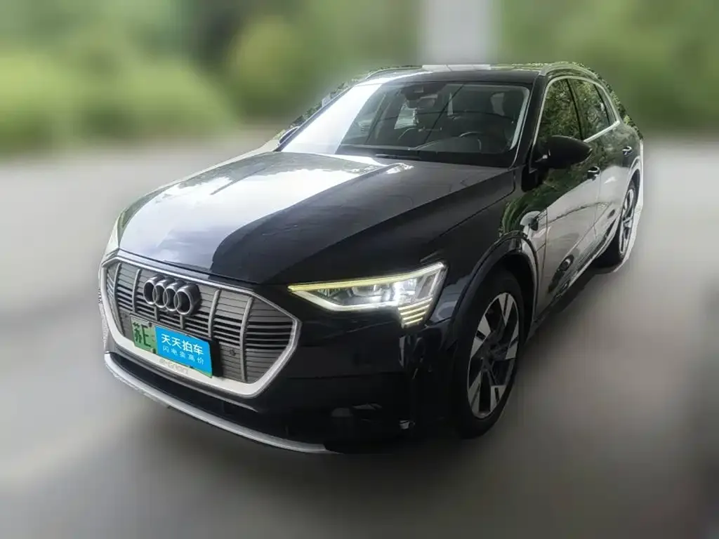 Audi e-tron (Import) 55 quattro Technology