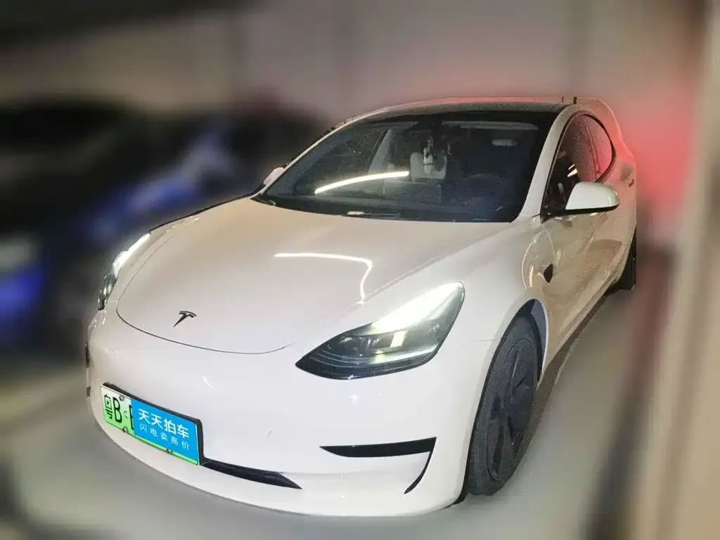 Tesla Model 3 Model Rear-Wheel Drive Version