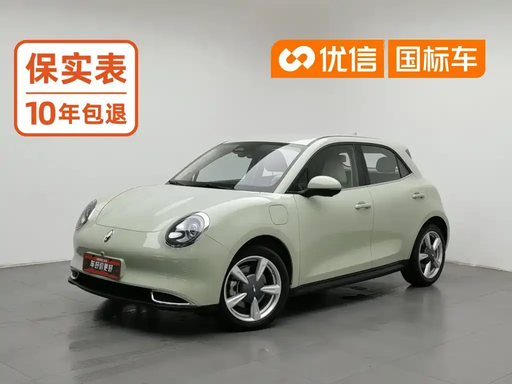 Ora Good Cat 401km Standard Range Luxury LFP