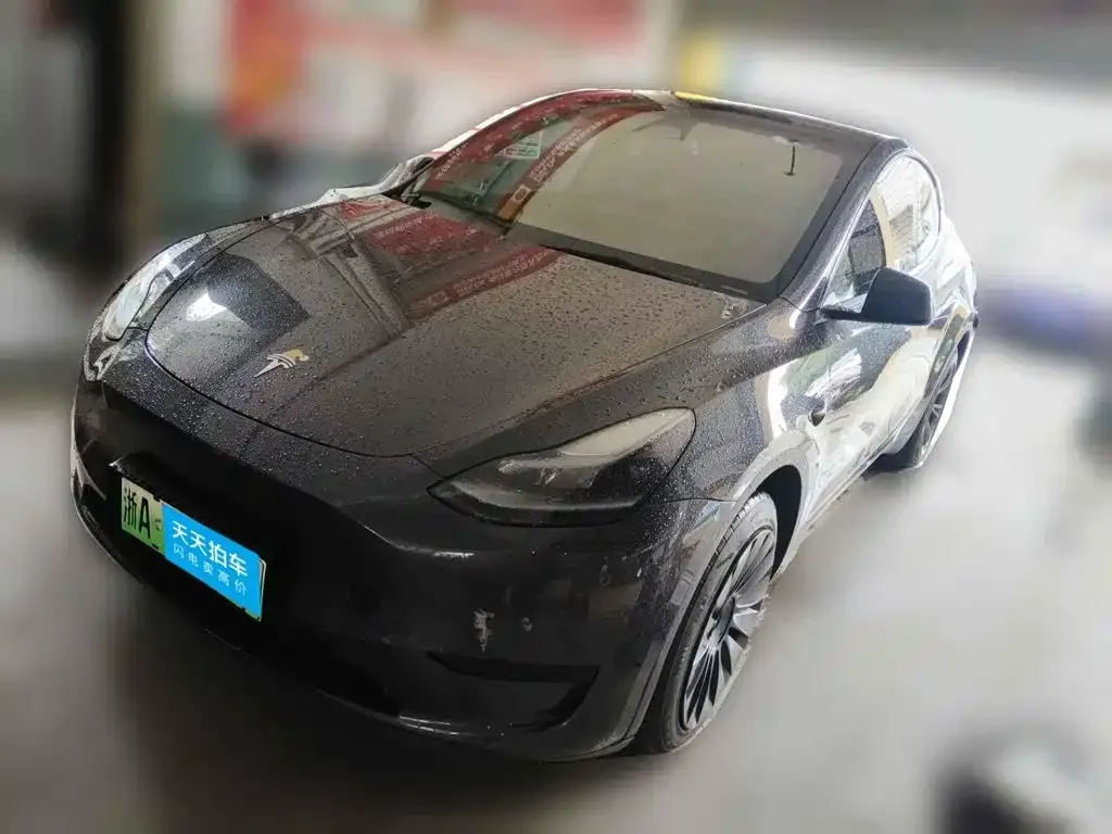 Tesla Model Y Rear-Wheel Drive Version