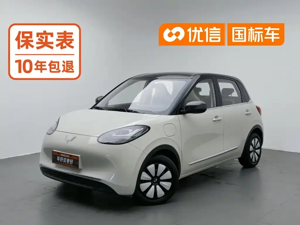 Wuling Motors Wuling Bingo 333km Comfort Edition