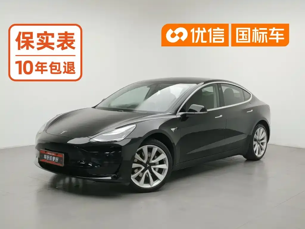 Tesla Model 3 Standard Range Rear-Wheel