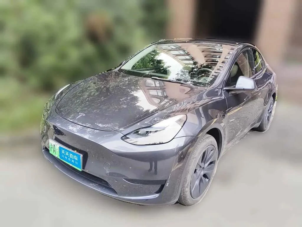 Tesla Model Y Rear-Wheel Drive Version