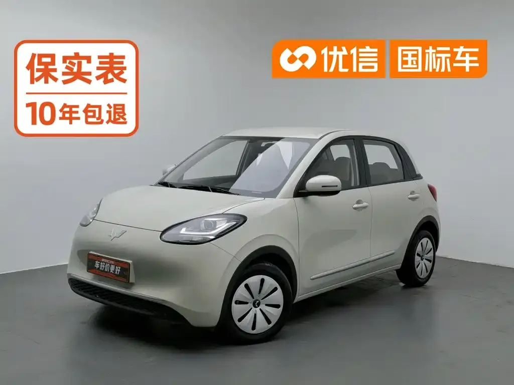 Wuling Motors Wuling Bingo Model 203km Lite Enjoyment