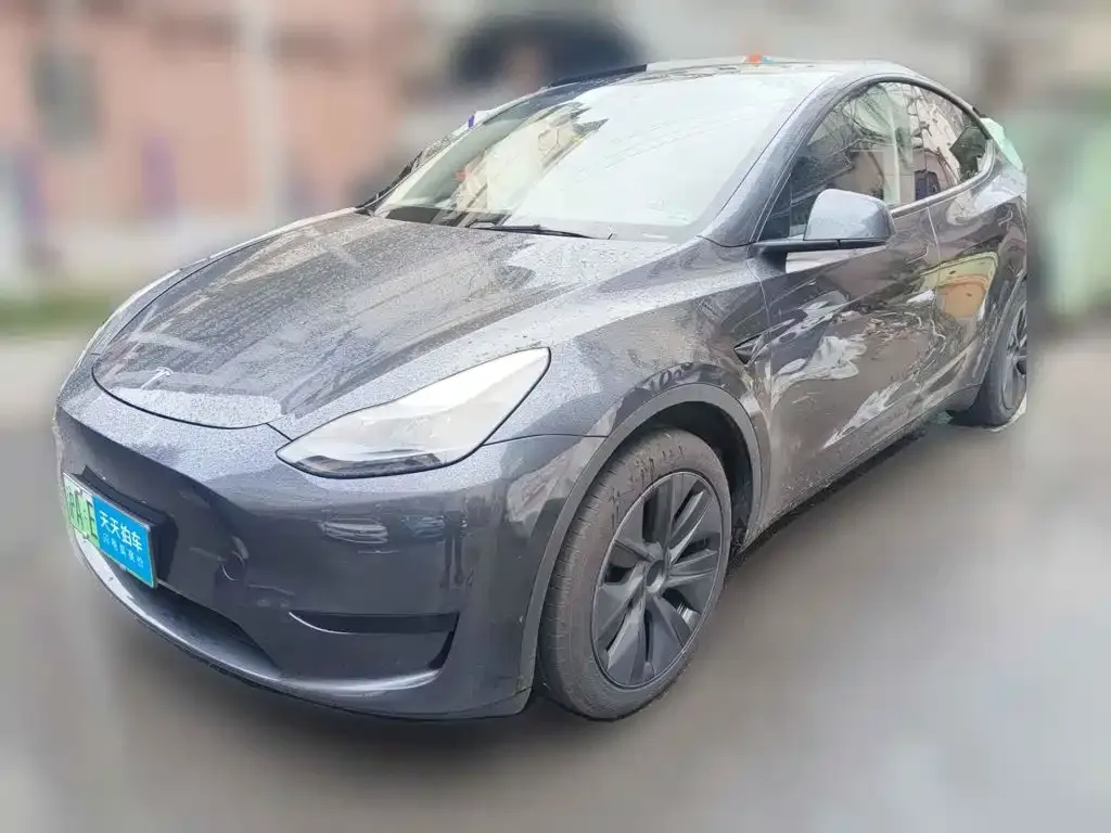 Tesla Model Y Rear-Wheel Drive Version