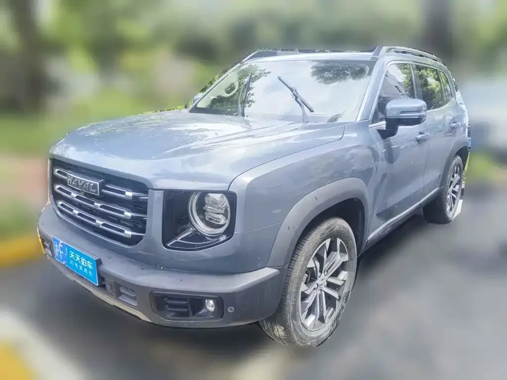Haval Big Dog 1.5T DCT 2WD Border Collie Edition