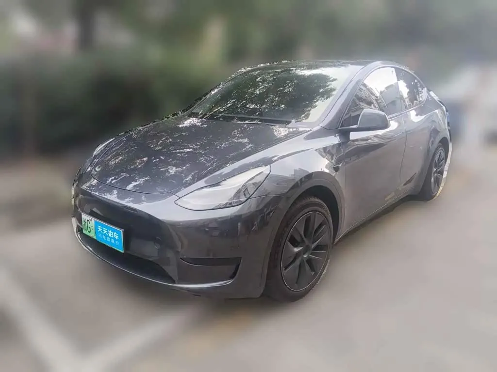 Tesla Model Y Rear-Wheel Drive Version