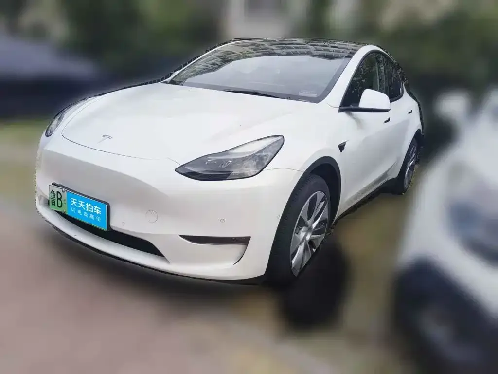 Tesla Model Y Long Range AWD