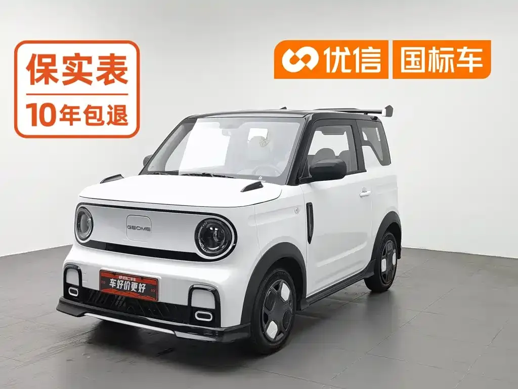 Geely Galaxy Panda Model Year 210km Panda Kart