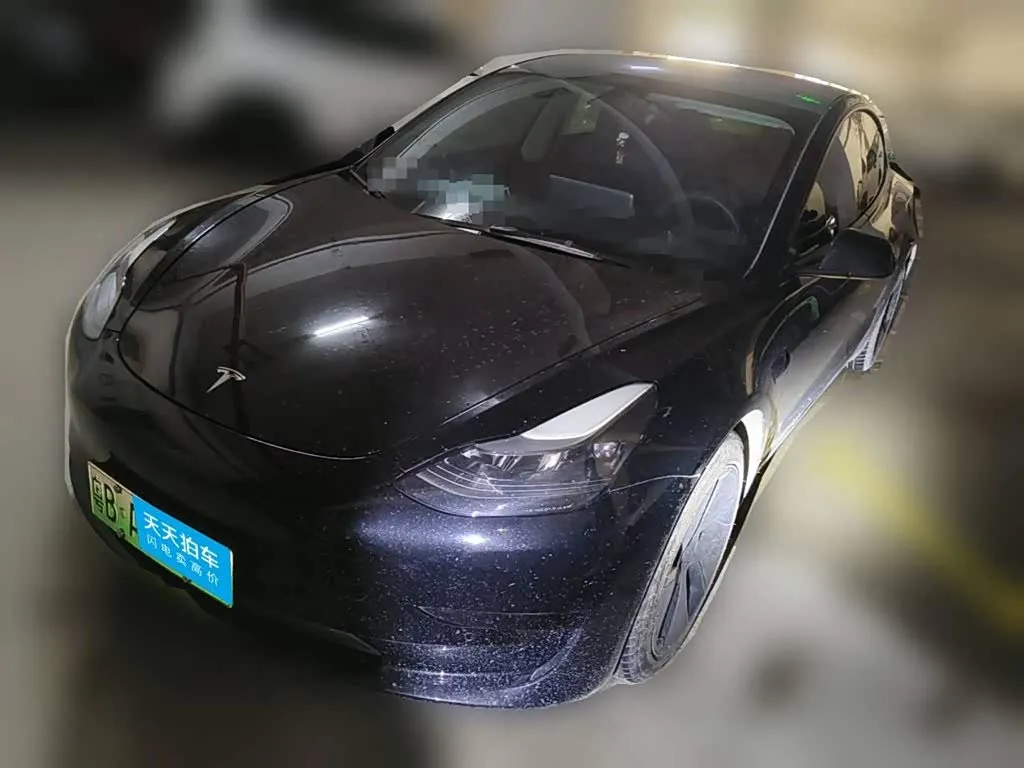 Tesla Model 3 Standard Range Rear-Wheel Drive Upgrade 3D6