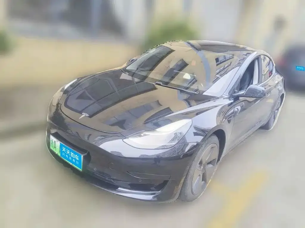Tesla Model 3 Standard Range Rear-Wheel Drive Upgrade