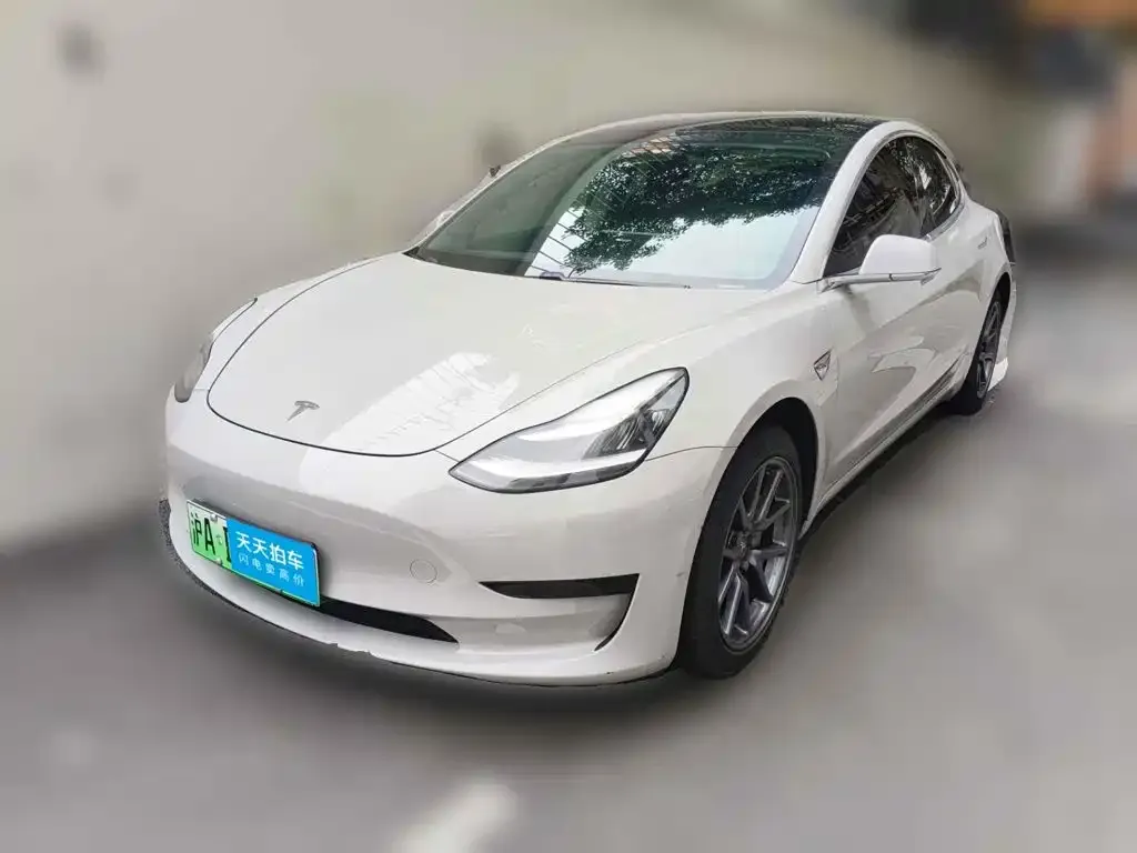 Tesla Model 3 Standard Range Rear-Wheel Drive Upgrade