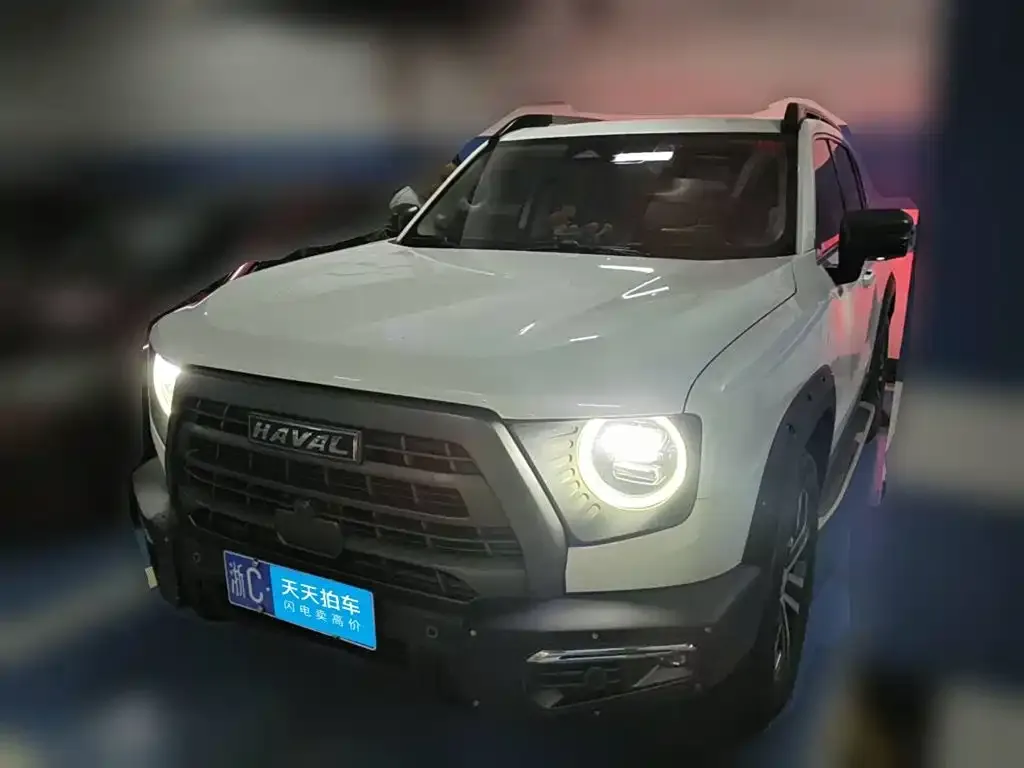 Haval Big Dog 1.5T DCT 2WD Malinois Hunting Edition