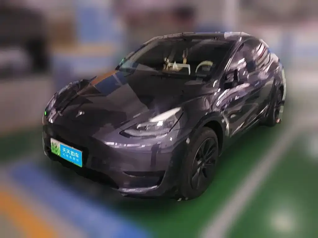Tesla Model Y Rear-Wheel Drive Version