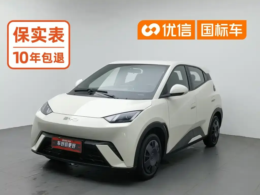 BYD Seagull 305km Vitality